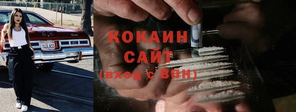 a pvp Каменногорск