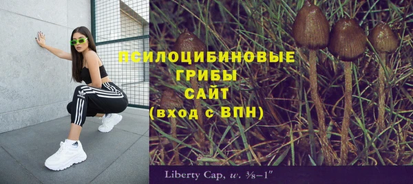 jwh Алзамай